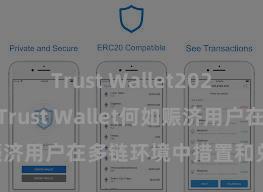 Trust Wallet2025版本下载 Trust Wallet何如赈济用户在多链环境中措置和兑换金钱？